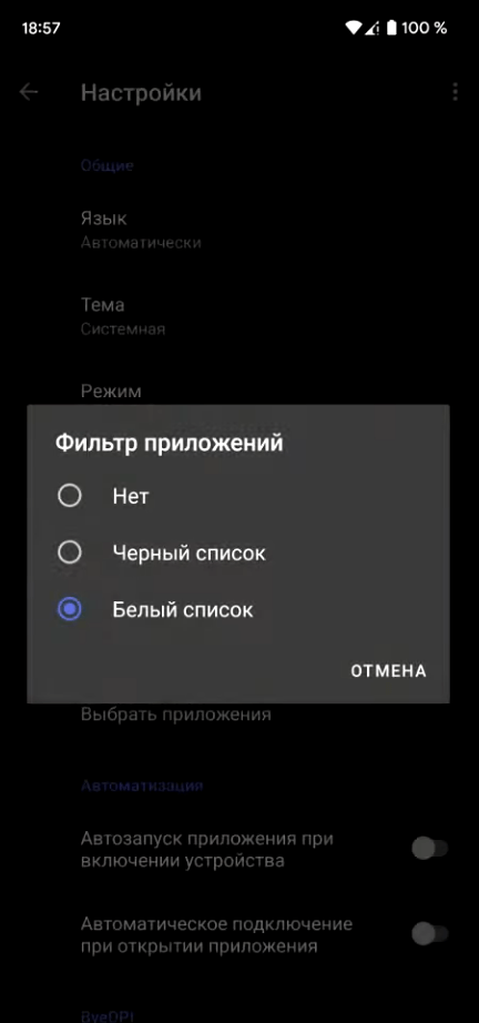 Настройки сети в ByeByeDPI