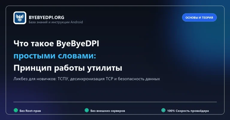 Что такое ByeByeDPI простыми словами: принцип работы и безопасность